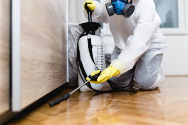 Best Pest Control Near Me  in Pinole, CA