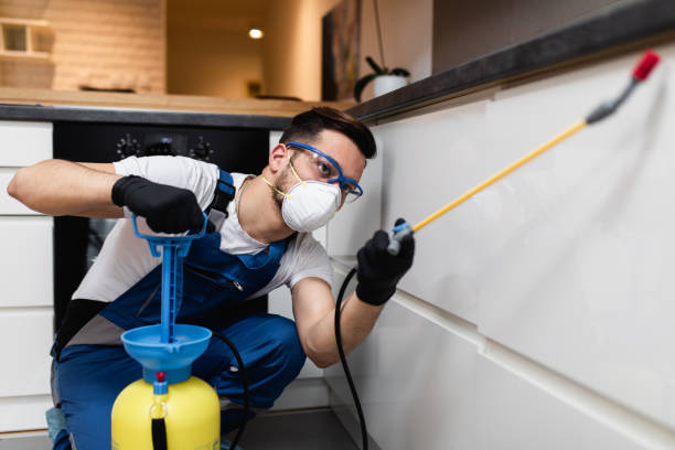 Best Emergency Pest Control  in Pinole, CA