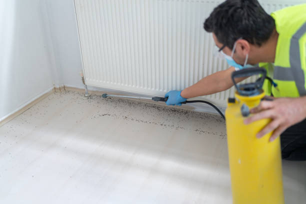 Best Flea Control Services  in Pinole, CA